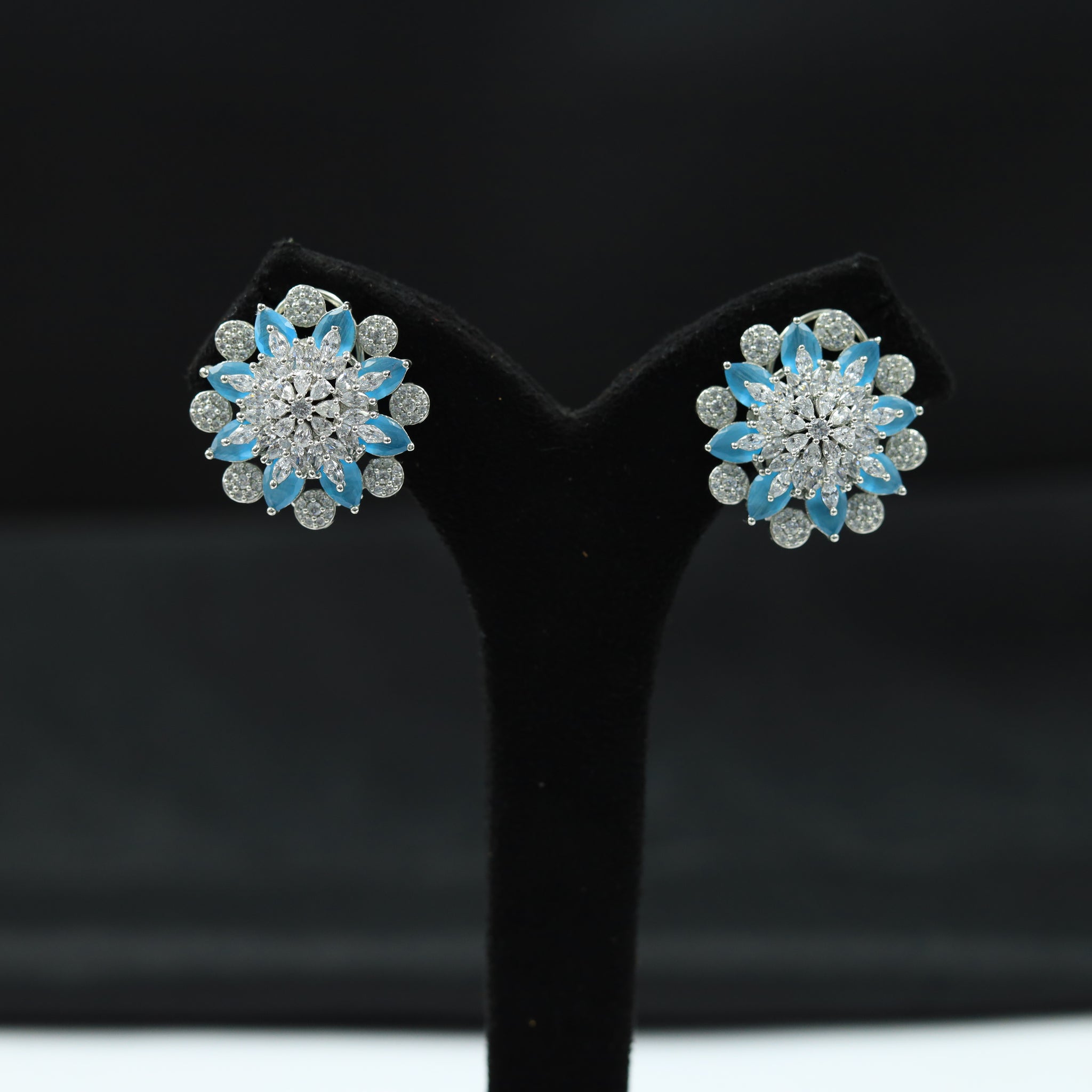 Silver Polish Zircon/AD Earring 6716-69